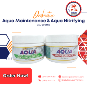 Aqua-Maintenance-and-Aqua-Netrifying-1