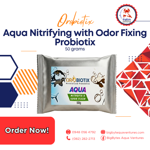 Aqua-Nitrifying-50grams-1
