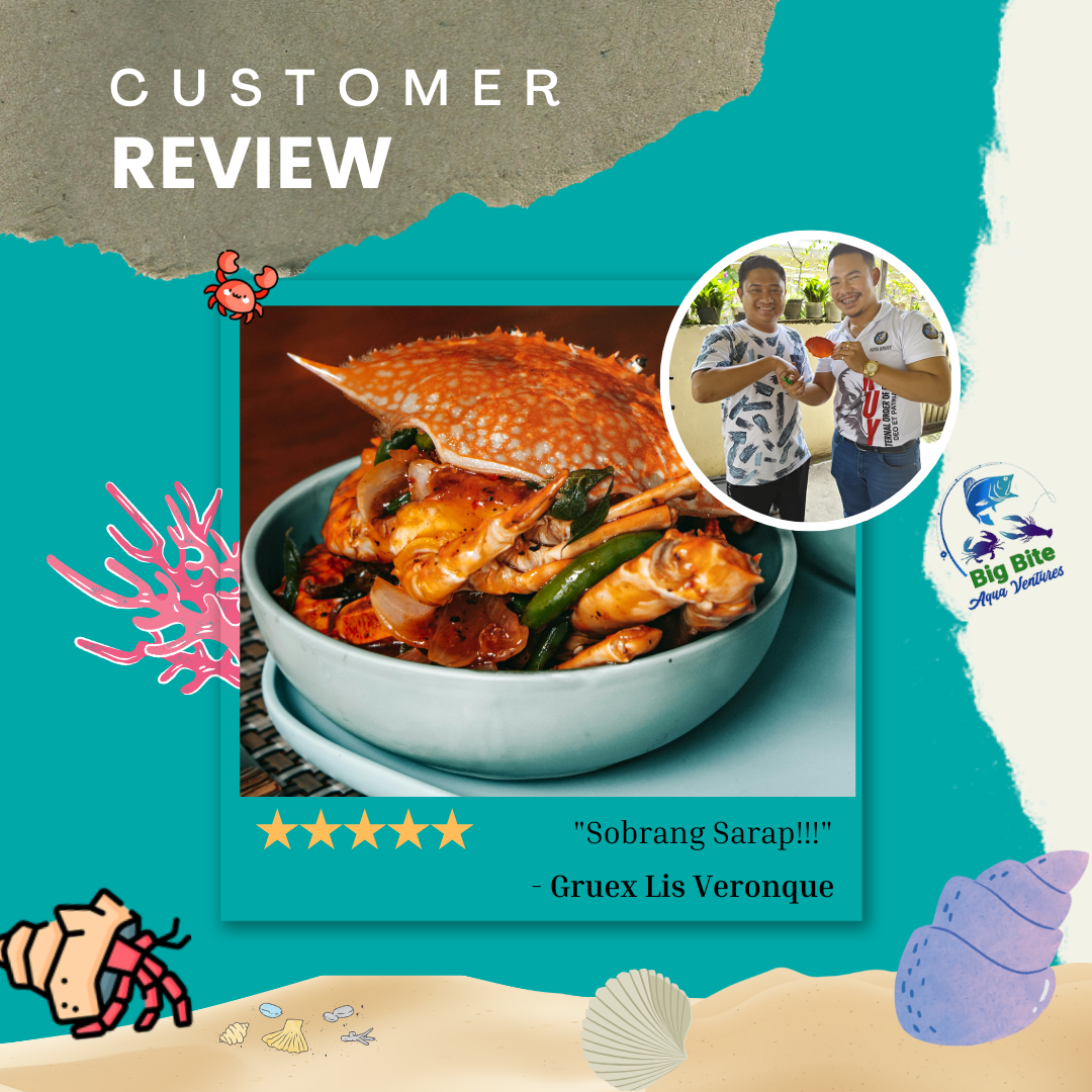 Review1
