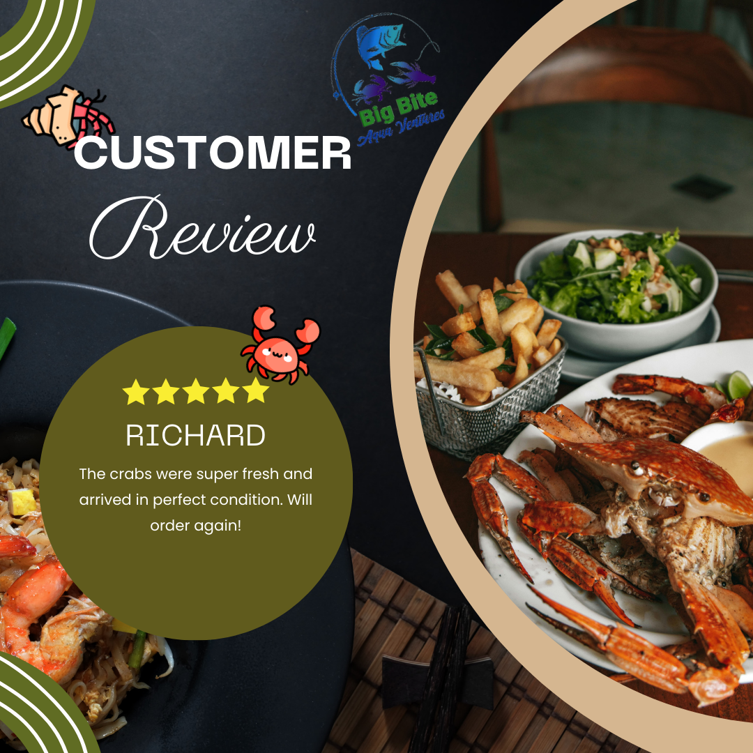 Review2