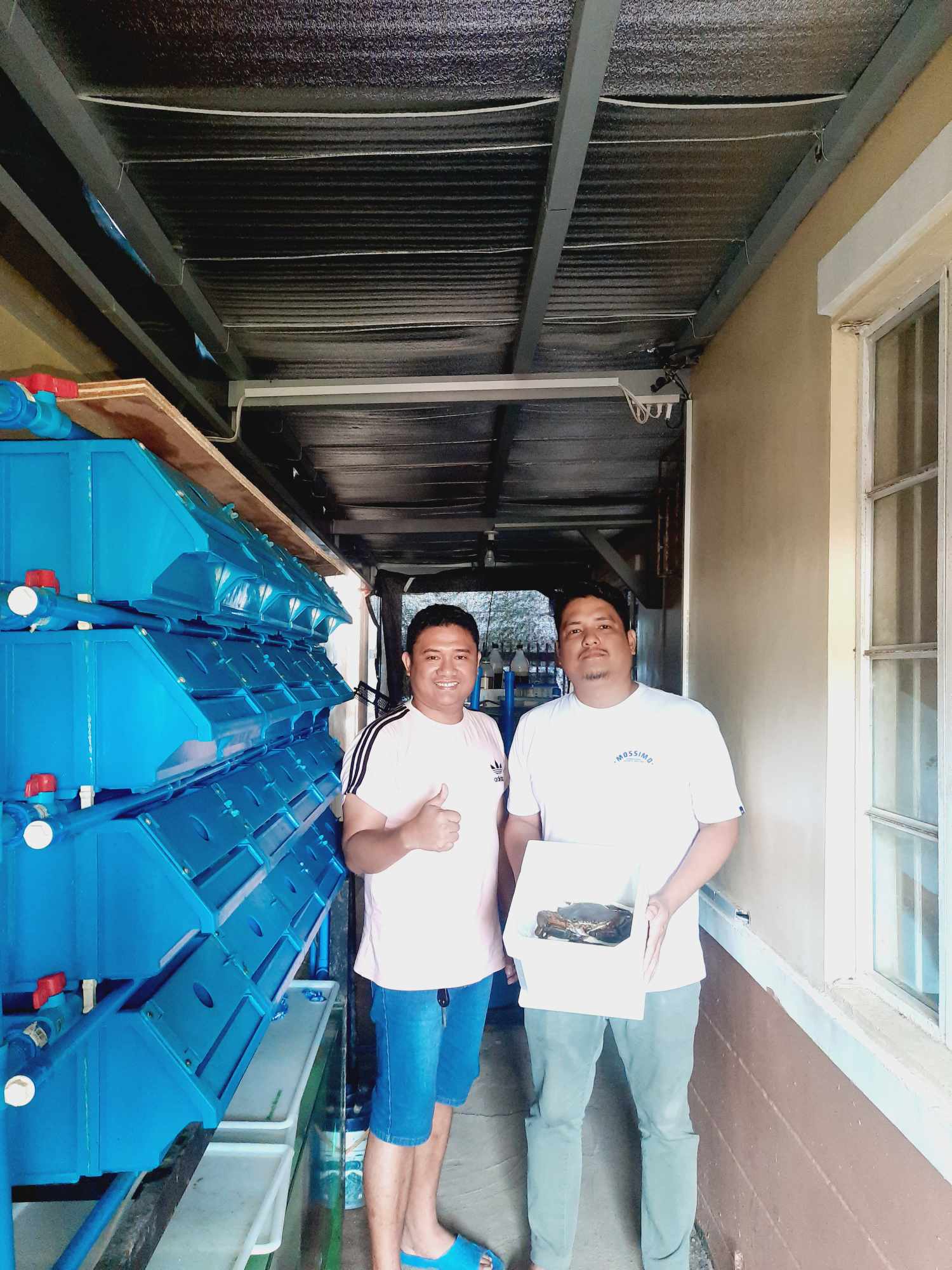 Thank You for Visiting and Purchasing Our Crabs!