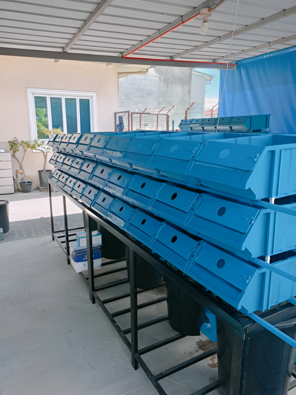 Vertical Crab Farm Setup