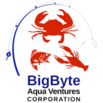 BigByte Aqua Ventures Corporation official logo