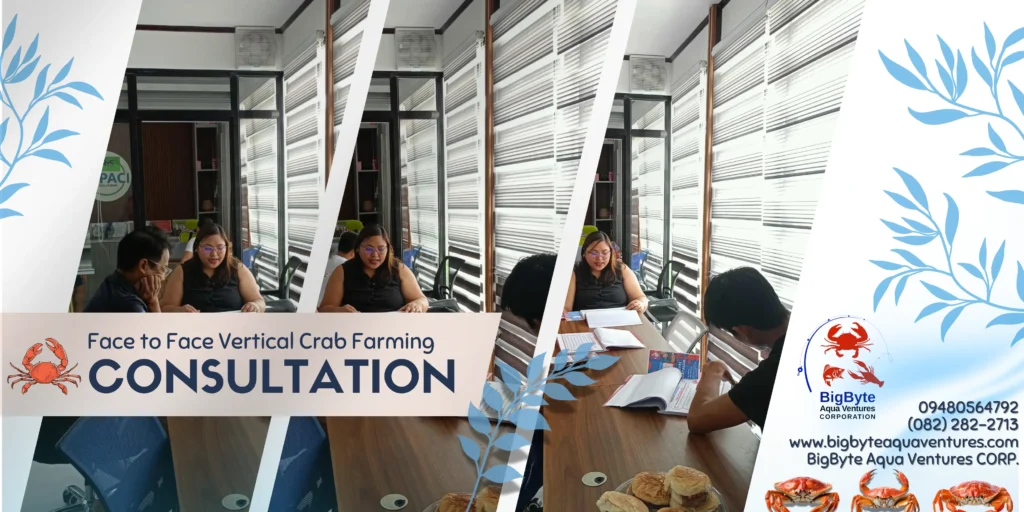 Face-to-face Vertical Crab Farming Consultation by BigByte Aqua Ventures — hands-on aquaculture training and expert guidance for sustainable crab farming in Davao City.
