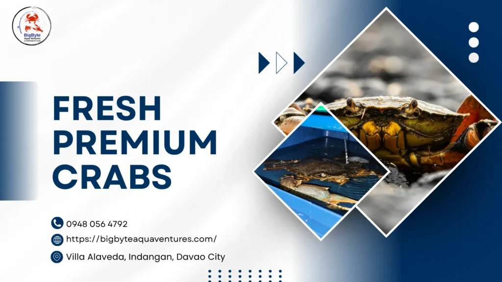 Fresh Premium Crabs