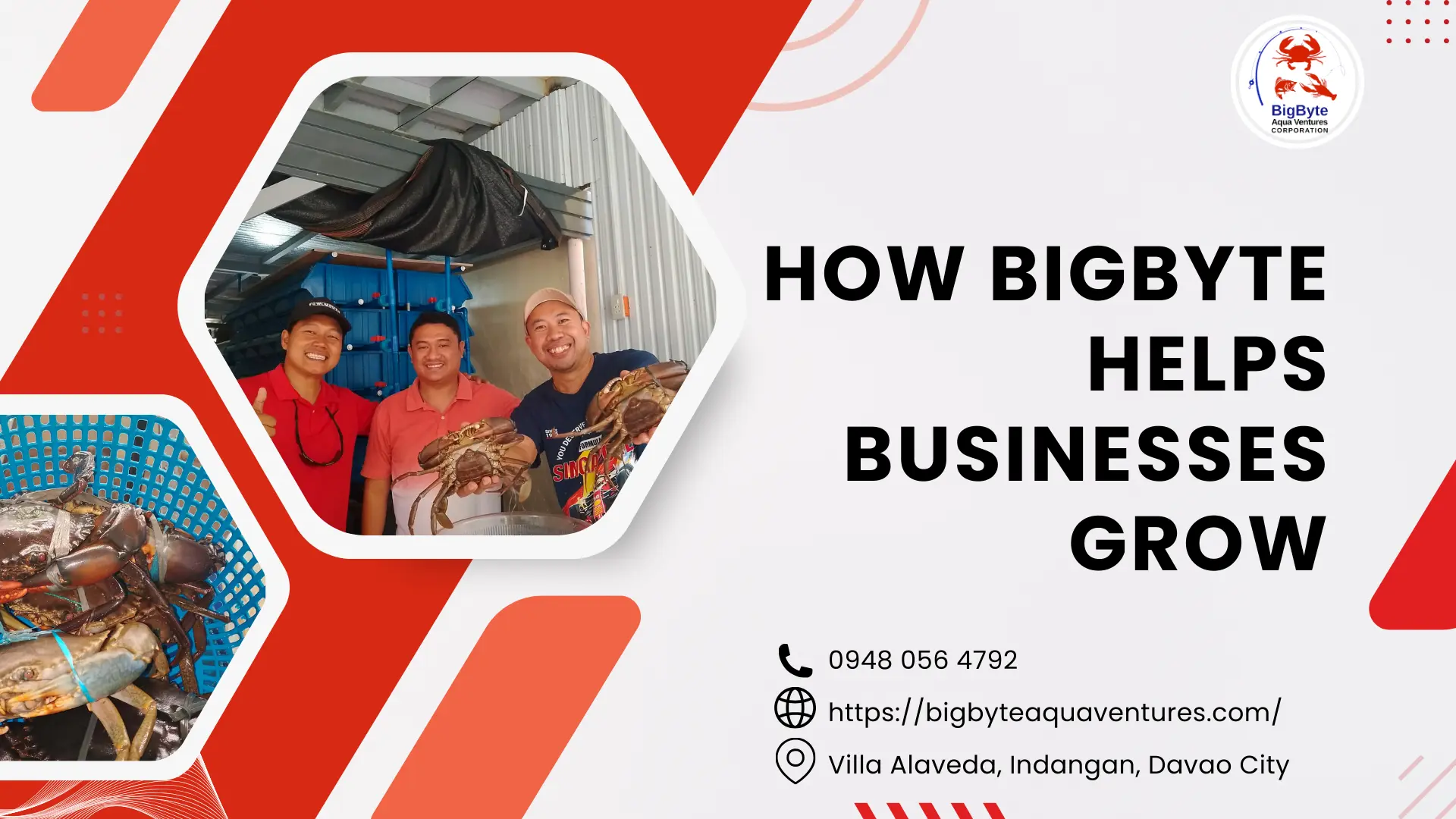 How Bigbyte Helps Businesses Grow