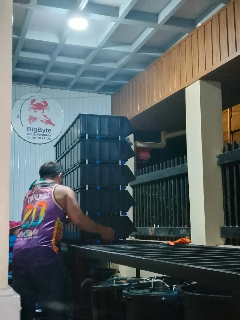 Setting up a vertical crab farming