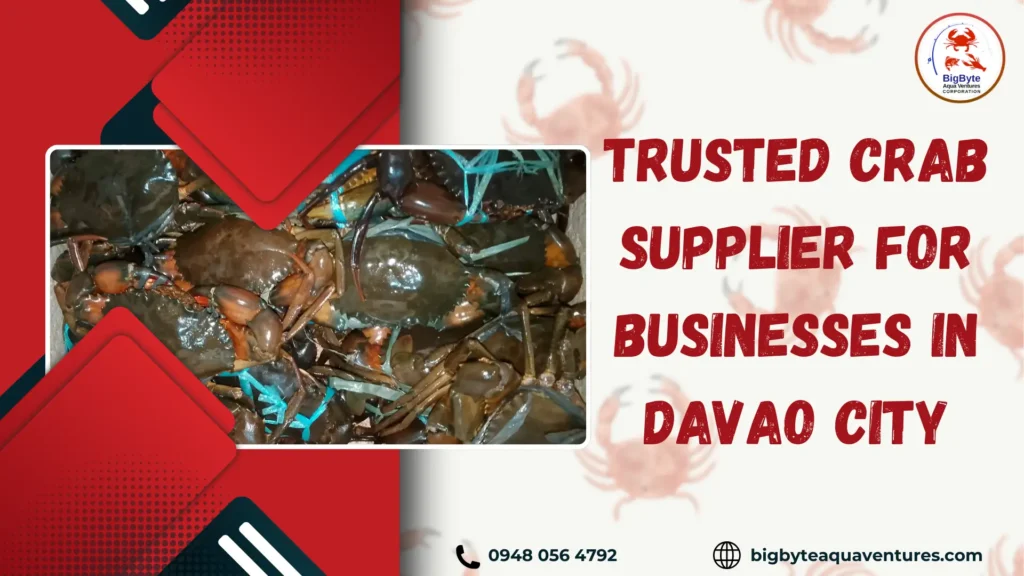 Trusted Crab Supplier for Businesses in Davao City