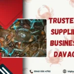 Trusted Crab Supplier for Businesses in Davao City