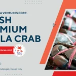 Fresh Premium Bakla Crab