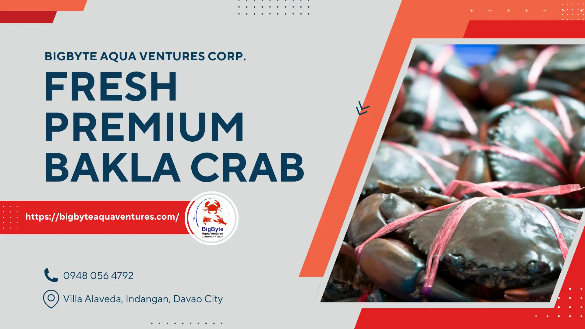 Fresh Premium Bakla Crab