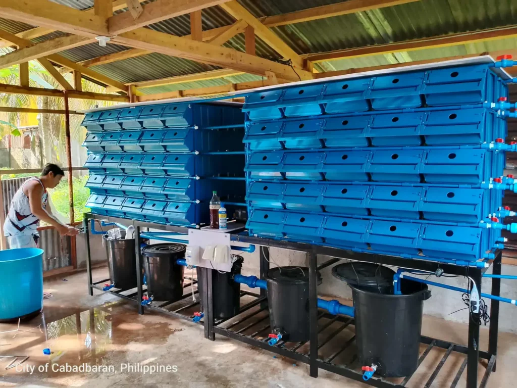 Vertical container a sustainable tool to farm a crab, left side their is a man.