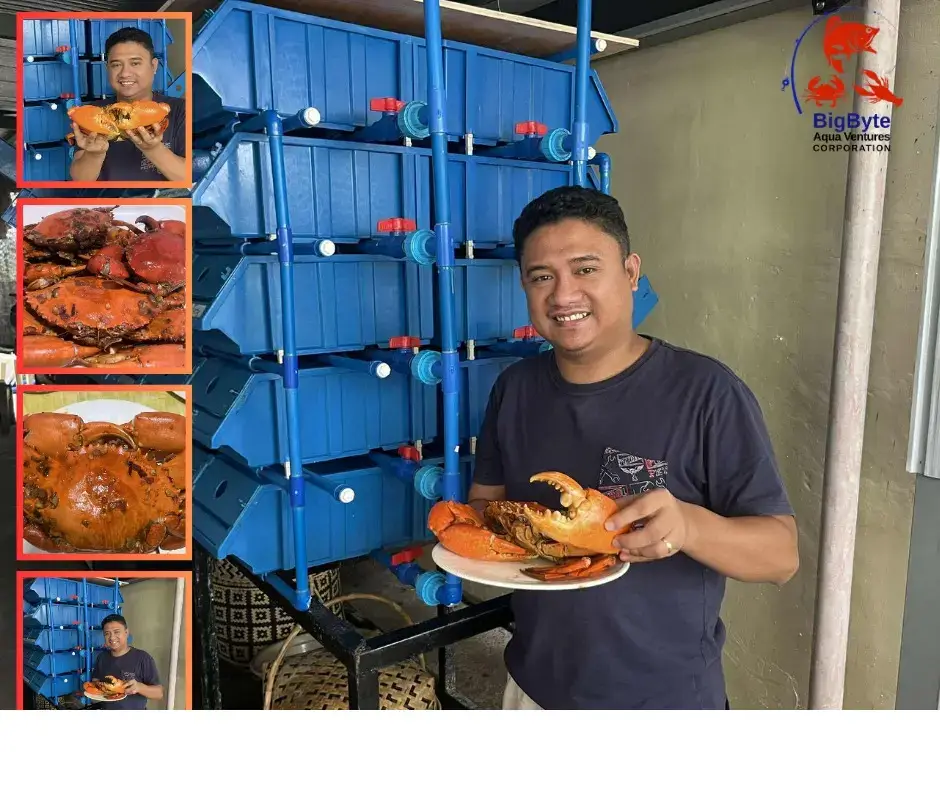 Bigbytes Aqua Ventures delicious Mud crab recipe