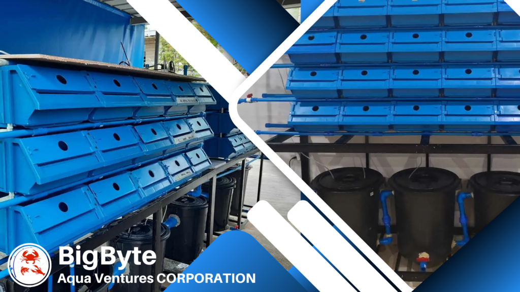 Eco-Friendly Crab Farming