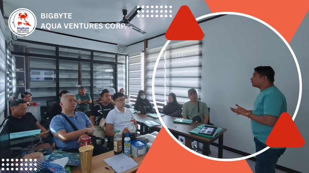 How Bigbyte Helps Businesses Grow