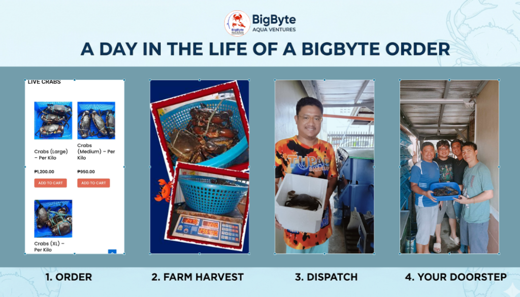 A-Day-in-the-life-of-Bigbyte-Order