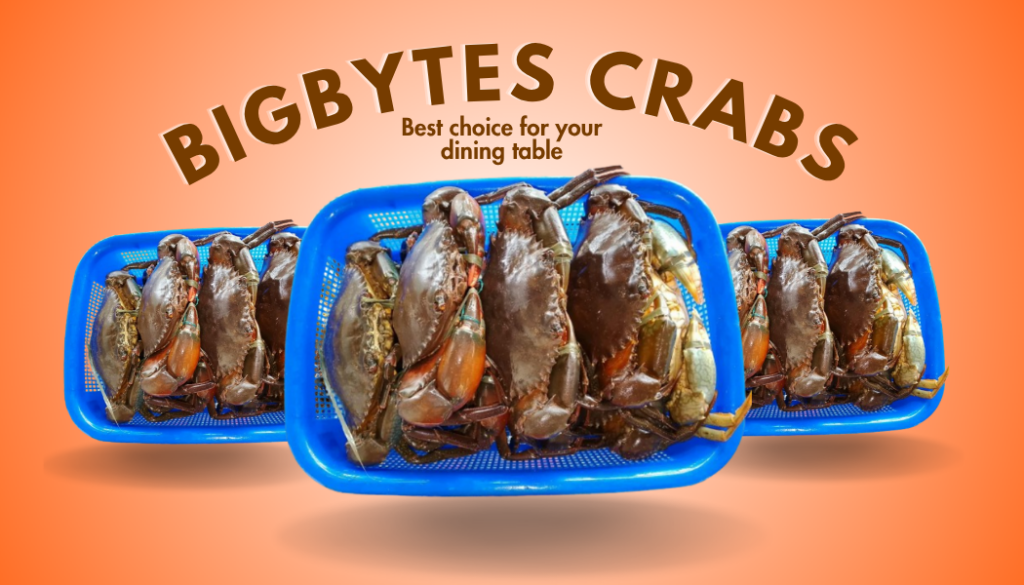 Bigbytes Crab