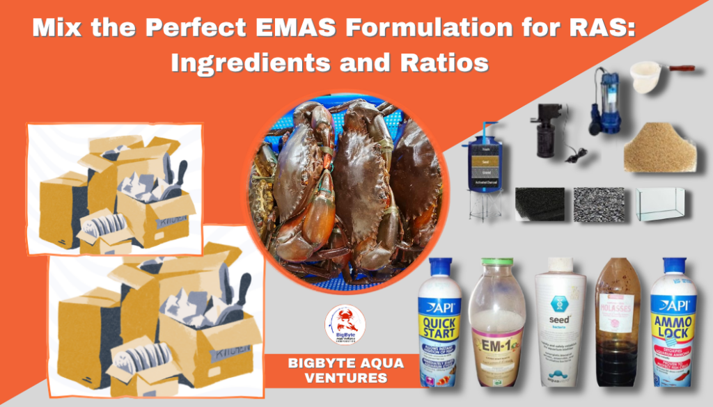 How to Mix the Perfect EMAS Formulation for RAS Ingredients and Ratios 