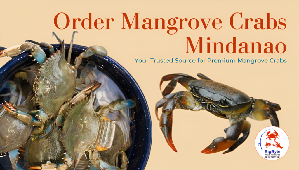 BigByte Aqua Ventures Mangrove Crabs
