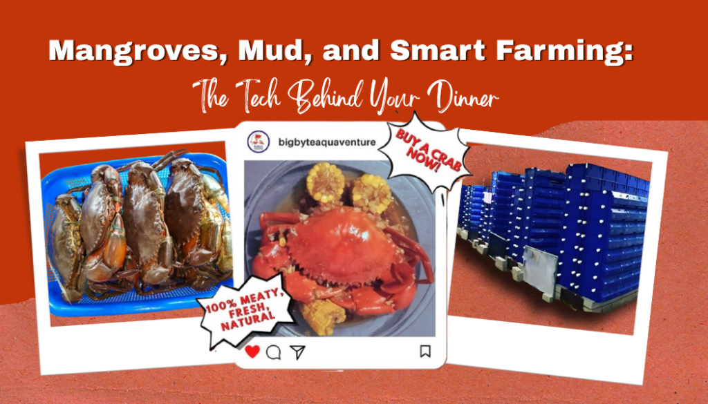 Mangroves, Mud, and Smart Farming: The Tech Behind Your Dinner