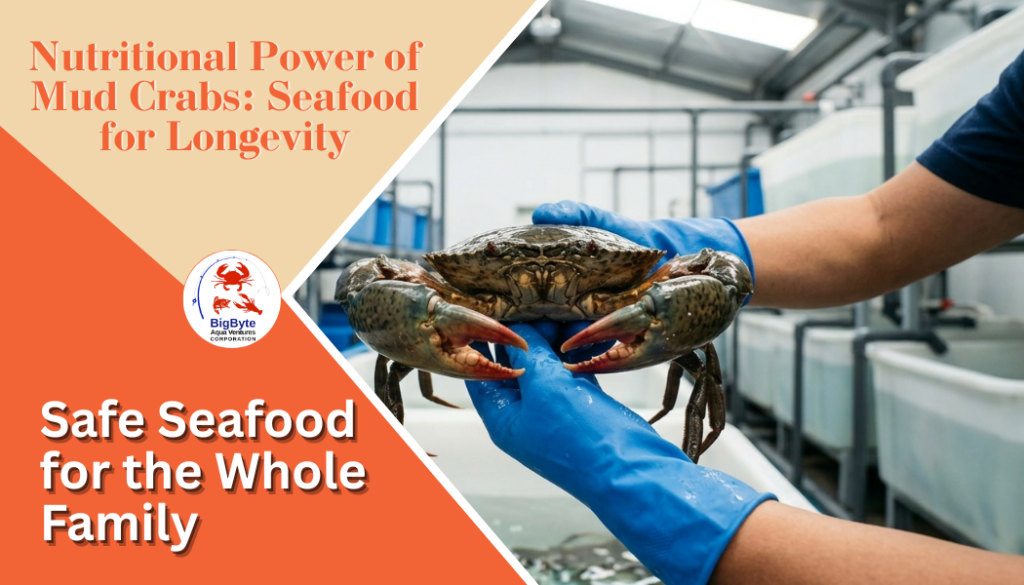 Mud Crub Nutrition Benefits