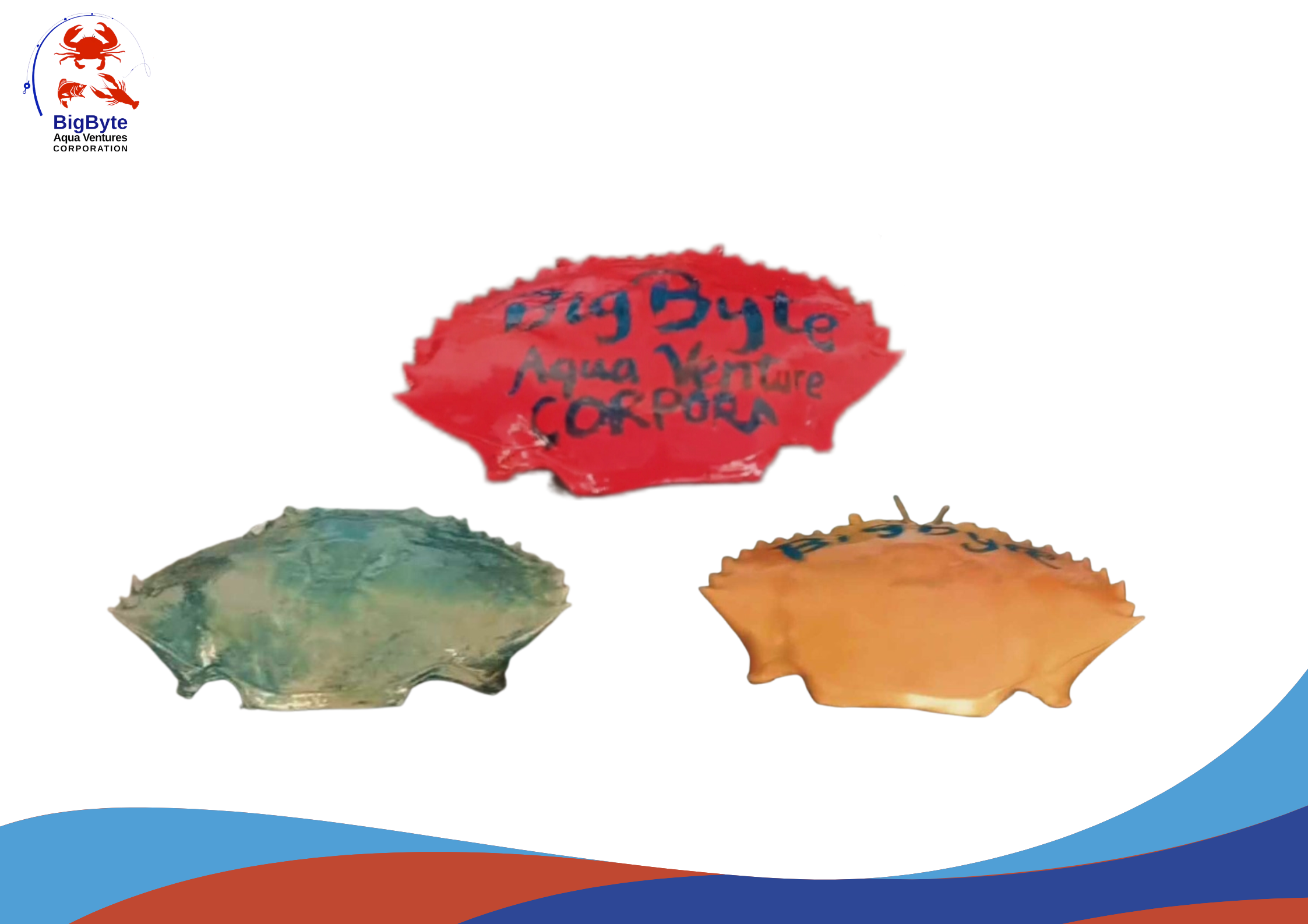 Crab Shell — BigByte Davao City