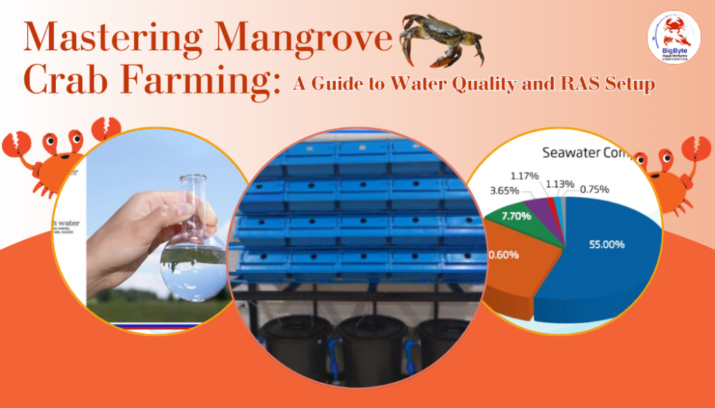 Mastering Mangrove Crab Farming