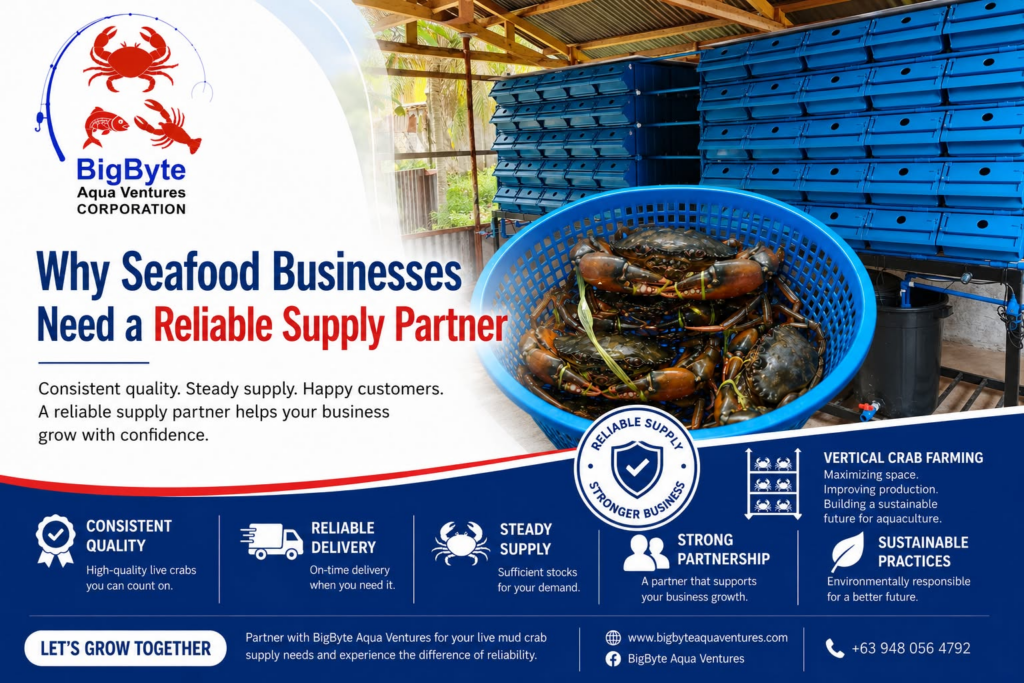 "BigByte Aqua Ventures - Your reliable seafood supply partner for live mud crabs"