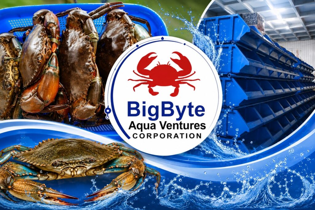 Mud crab farming guide for beginners