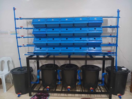 2nd-Setup
