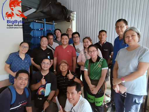 Group of Colleagues Smiling and Posing in an Indoor Corporate Setting Group of Colleagues Smiling and Posing in an Indoor Corporate Setting