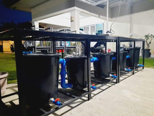 Recirculating Aquaculture System