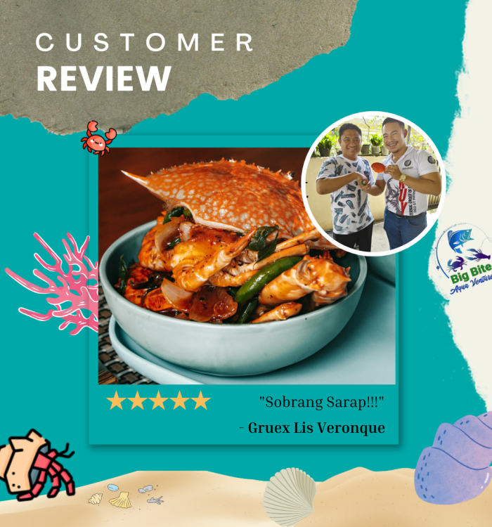 Review1