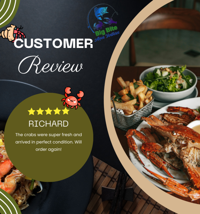 Review2
