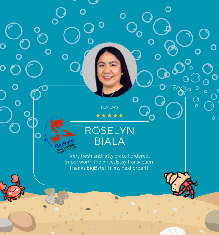 Review4