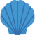 seashell