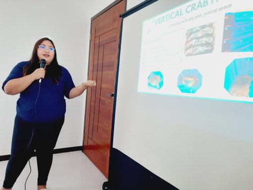 Woman explaining vertical crab farming.