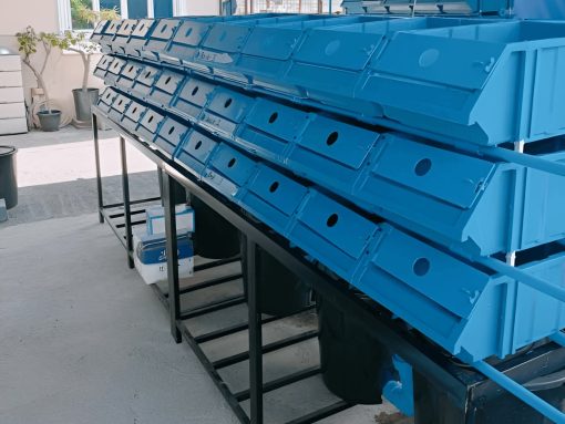Another side view of vertical crab boxes used for crab cultivation in an aquaculture system.