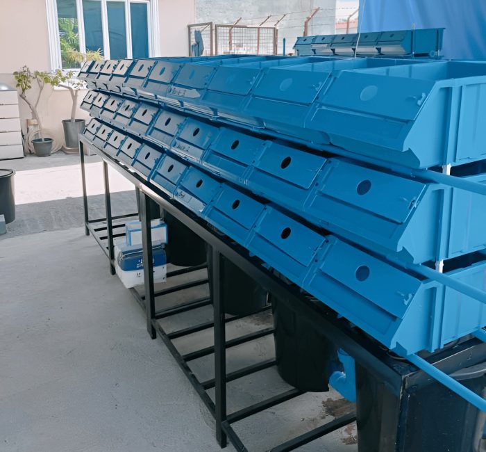Vertical Crab Farming Boxes – Side Angle Another side view of vertical crab boxes used for crab cultivation in an aquaculture system.