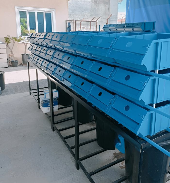 Vertical Crab Farming Boxes – Side Angle Another side view of vertical crab boxes used for crab cultivation in an aquaculture system.