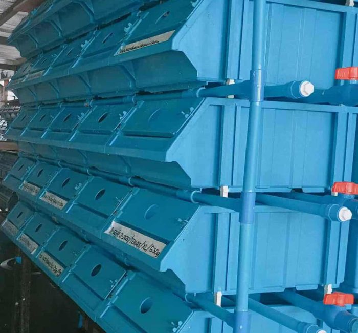 Side View of Vertical Crab Farming Boxes Side view showing the stacked structure of vertical boxes used in crab farming.